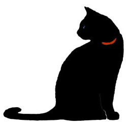 El gato negro